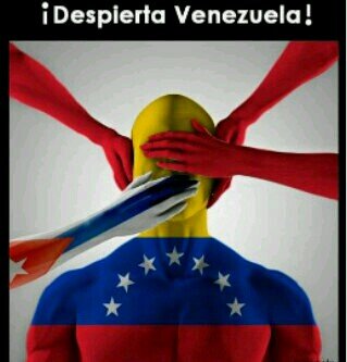 LolovVargas's profile picture. 