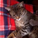 miriam ochoa - @miriamochoa10 - Twitter