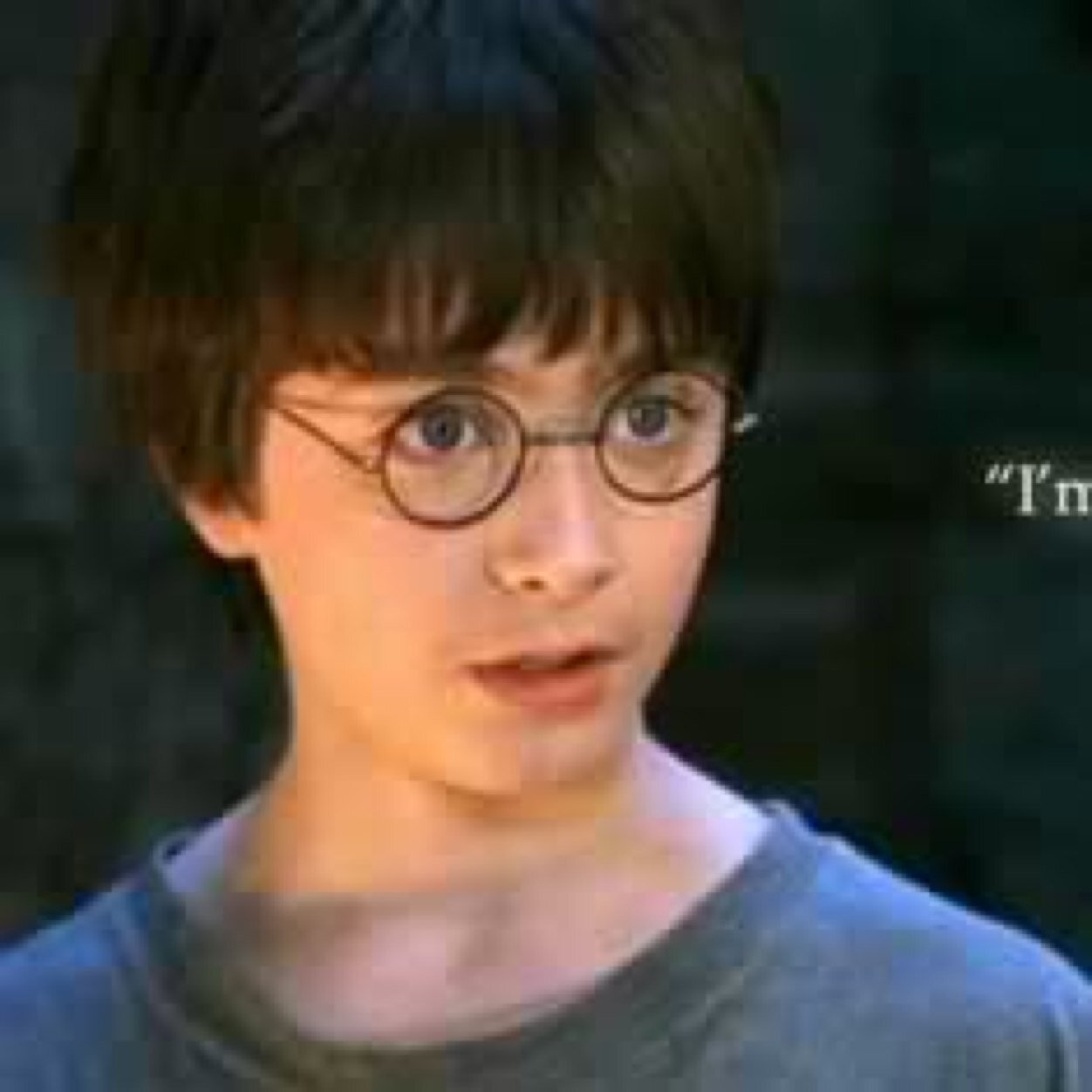 Harry Potter Titles the people REALLY want to see happen. Viewers Discretion Advised.