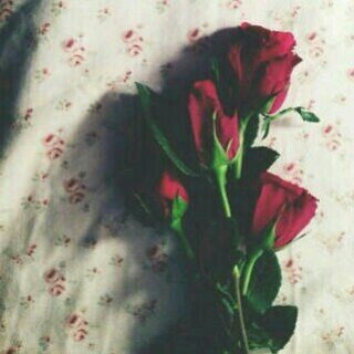 حصاله كلام...واحيان ظرف رساله