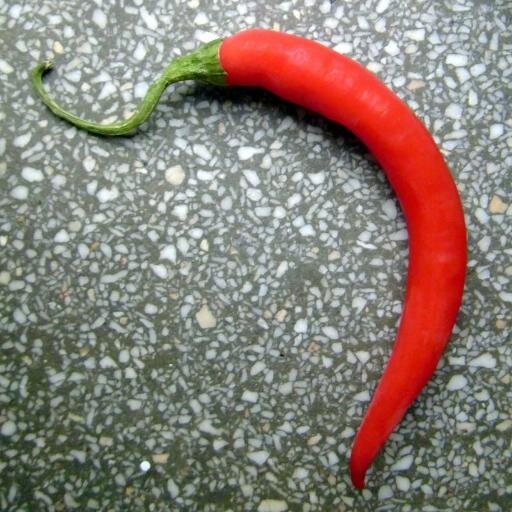 podrozenajezyku's profile picture. 