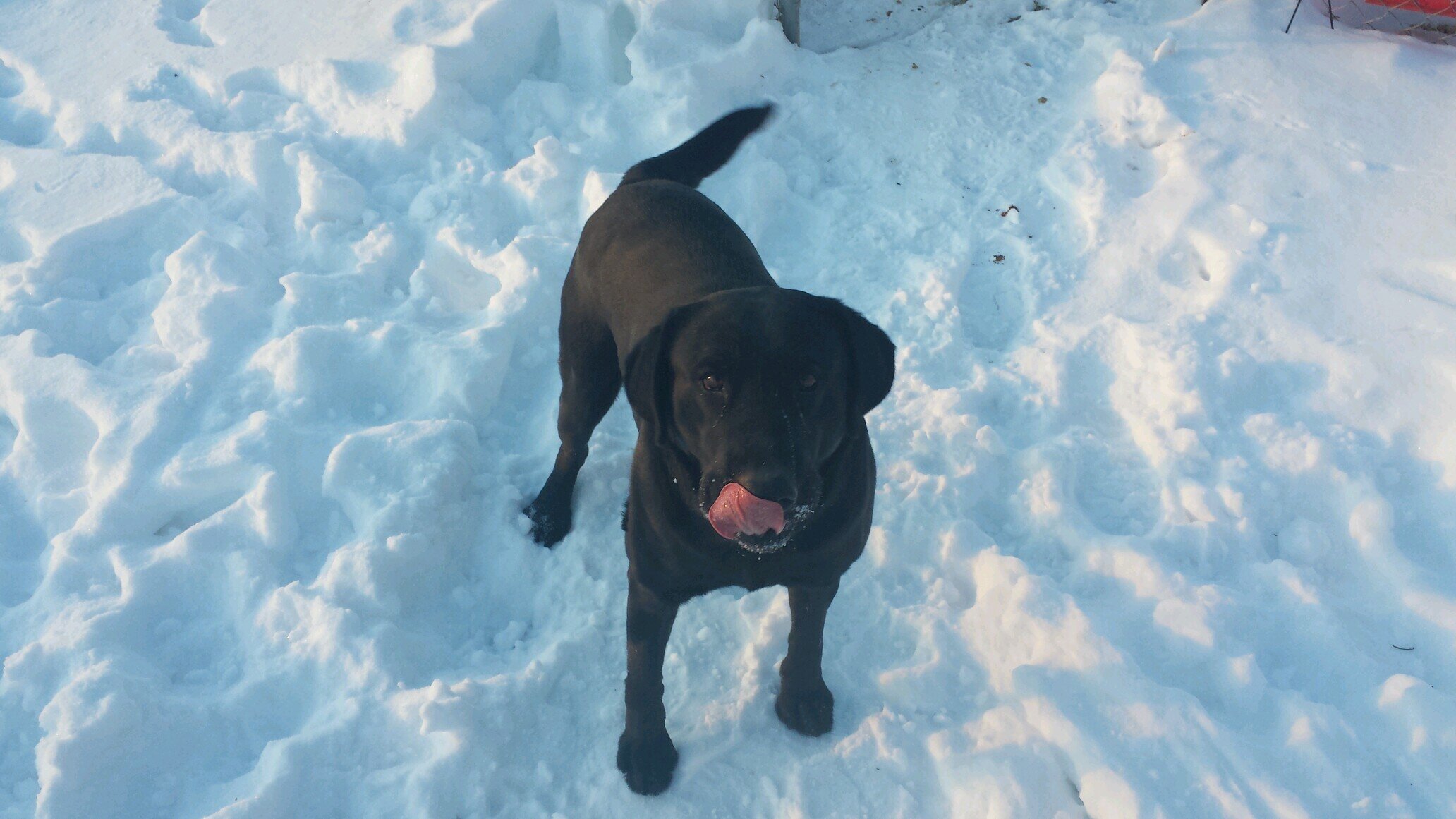 jeffclan58's profile picture. Learn to laugh and enjoy the day, tomorrow is promised to no one