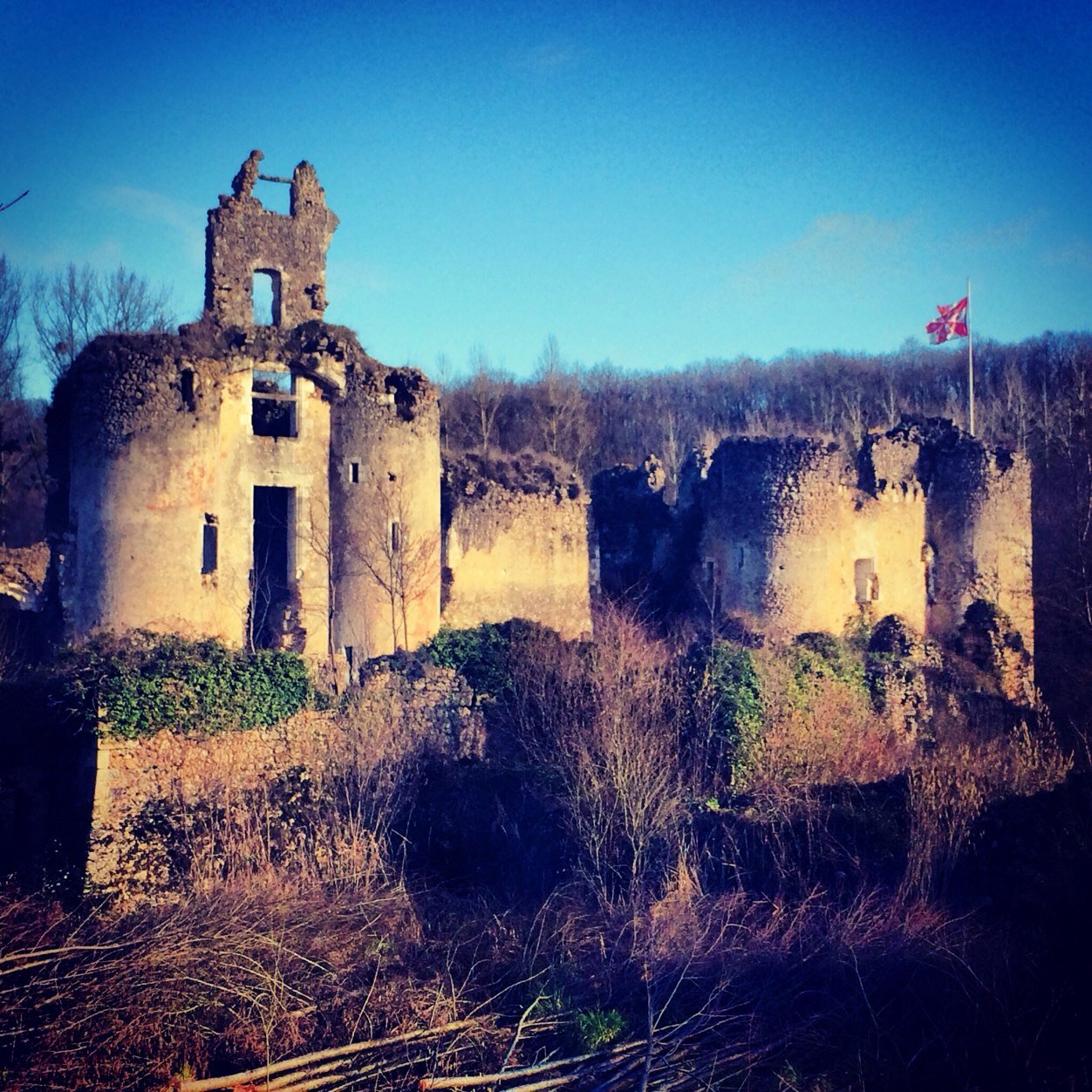 Le château de Vaujours (MH) est ouvert du 01/04 au 01/10 sauf les mardis. Visite guidée (FR/EN), salon-de-thé et musée.