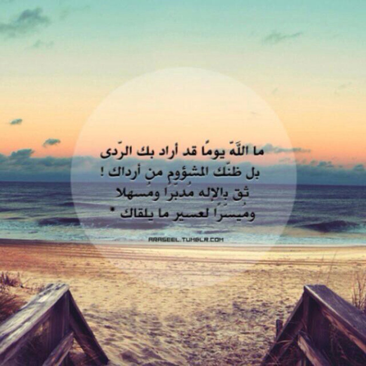 Meeldada's profile picture. Make adventures ♥