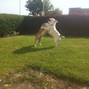 nathan irving - @footinfront - Twitter