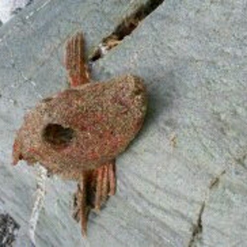 jrmatcham's profile picture. 