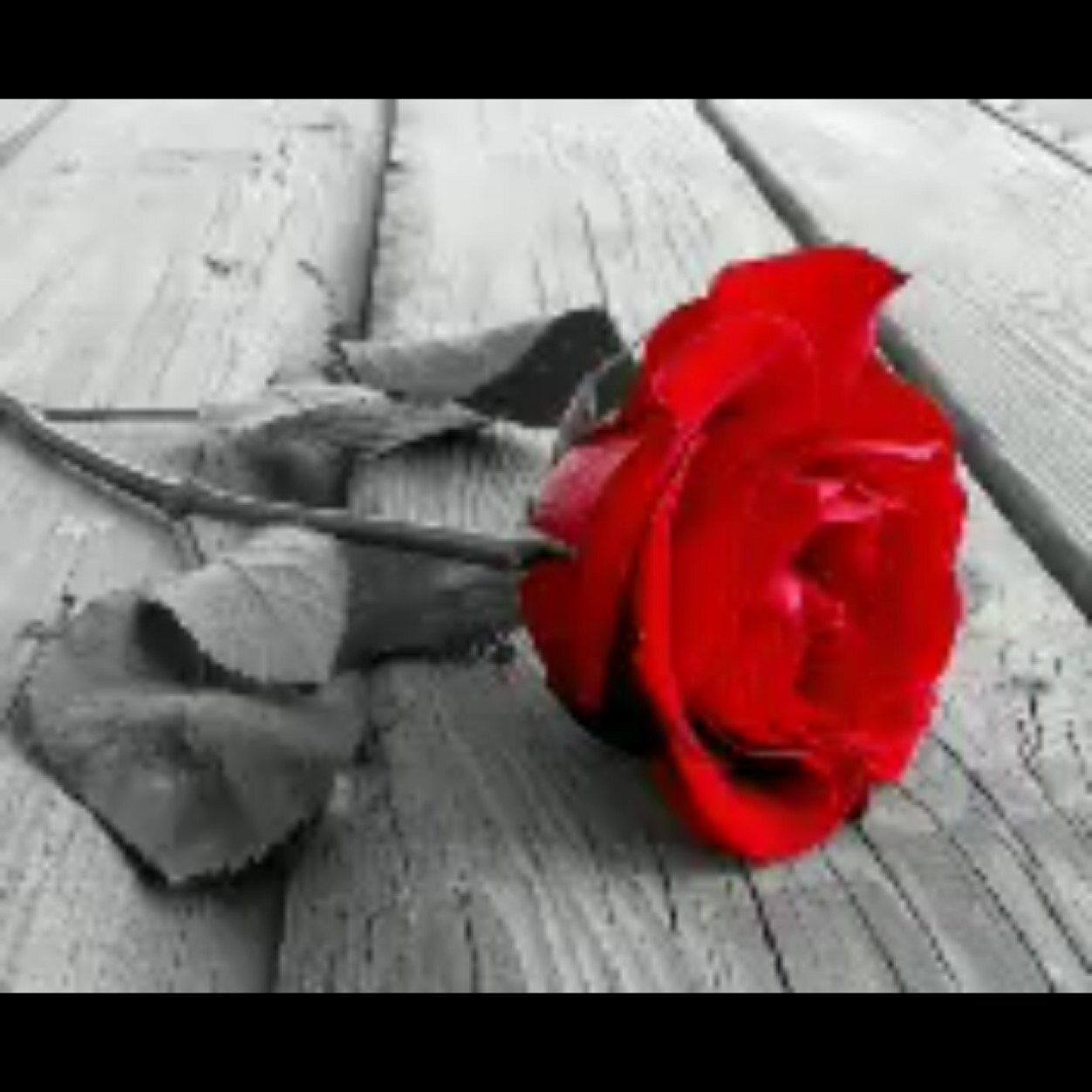 kalaid6's profile picture. @AL_FAHAD_Q82: ٠ ما أجمل ، أن ترضي آلله بمآ يحب ،، فتجده يرضيك بَـ / آكثر ممآ تحب ..!! ٠