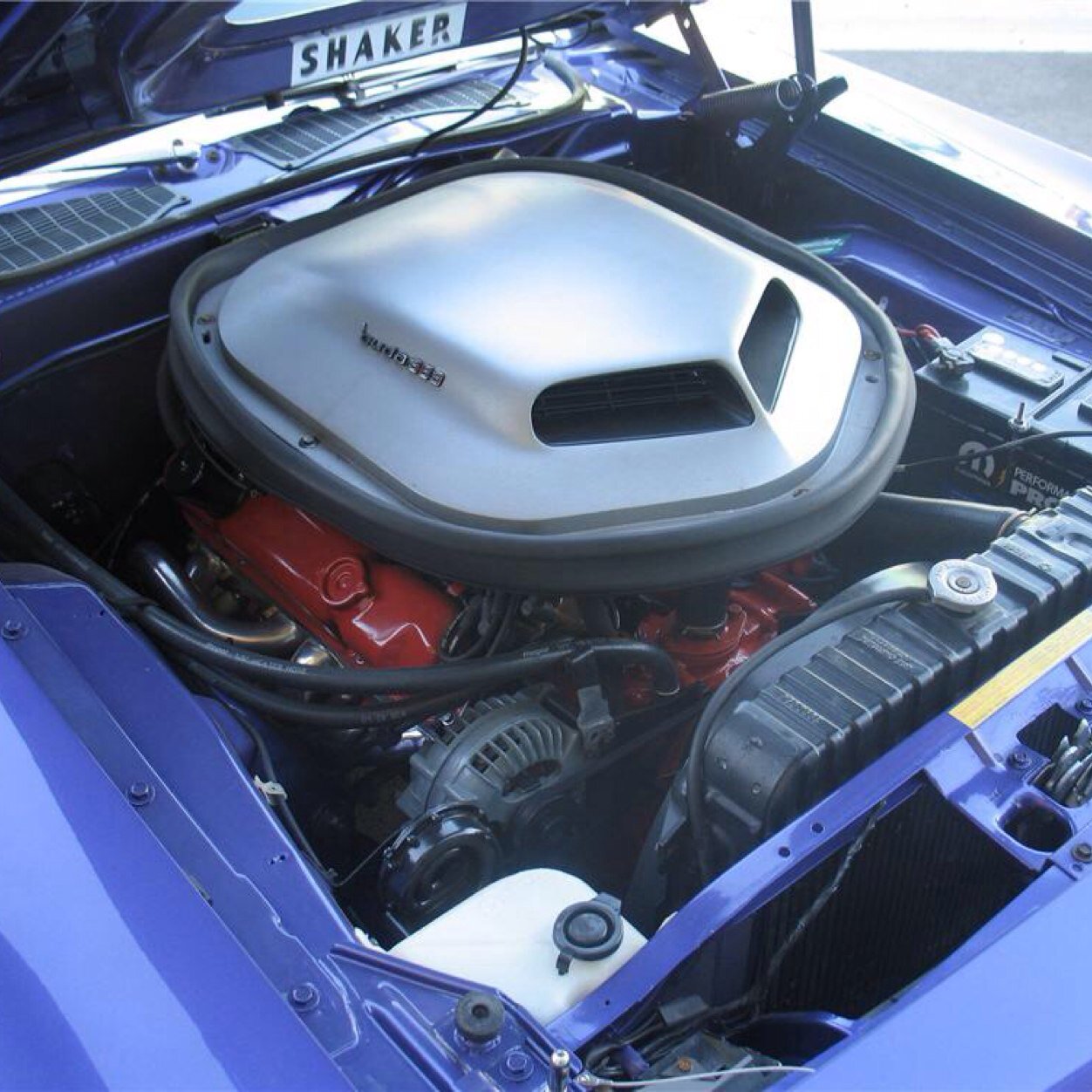 Cuda71426's profile picture. Equality is a Birthright Equity is Earned ~🕵🏼‍♀️ ~ https://t.co/7HSx6ors8c