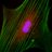 Scientific_Edit's profile image