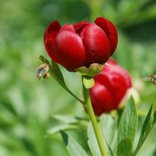 We know what to expect. We know how the story goes. And we know how we will respond. Until allergies knock on our door! Growing store! http://t.co/41rwkUcz