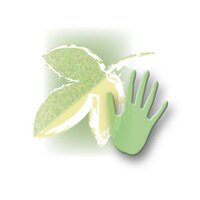 CGI Scotland (@cgiscotland) 's Twitter Profile