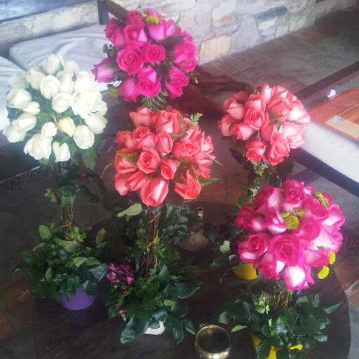 laninaceci's profile picture. INMIGRANTE, AHORA VENEZOLANA ORGULLOSA DE MI ANCESTRO Y MI DESCENDENCIA, MADRE LUCHADORA, AGUERRIDA MUJER DE FE. LEAL.