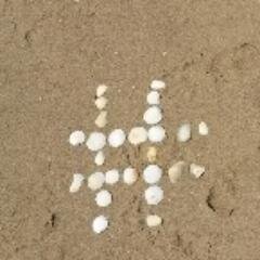 CliffBWoods's profile picture. Fast Food Enthusiast - World Explorer - Android - Rationalist - Beach Goer