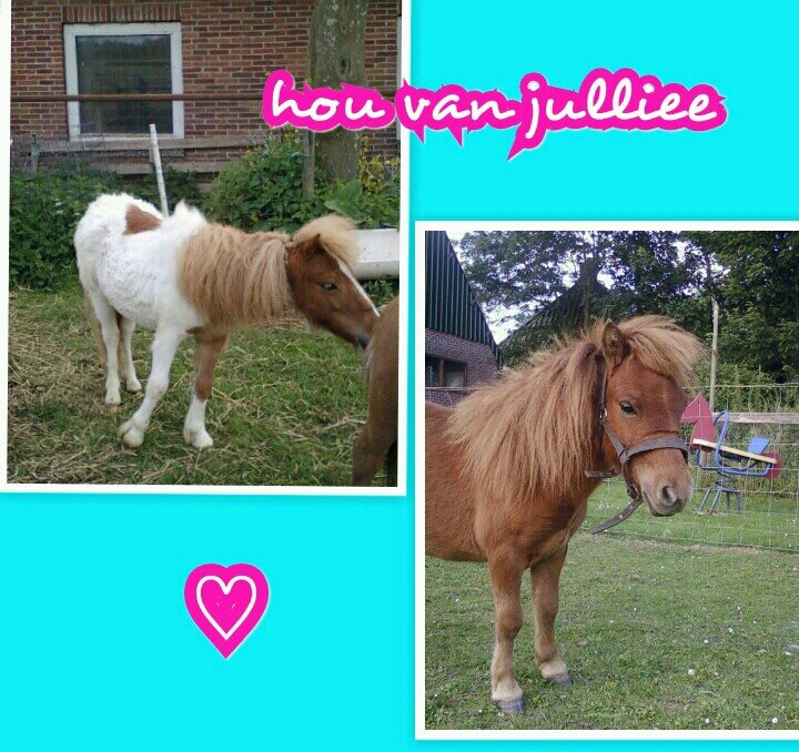 boersma2002's profile picture. Loveeyoou!x