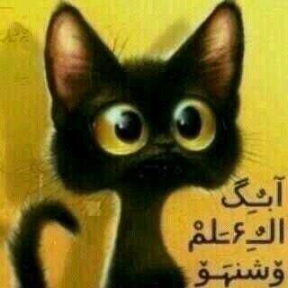 ‏‏‏‏‏حساب فكاهي تم تصميمه ليصنع الابتسامه في وجوهكم                                             ID PS3:kasper-_-111