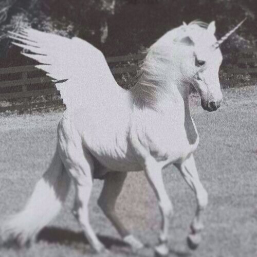 You reclaim your power by loving what you were once taught to hate.∞