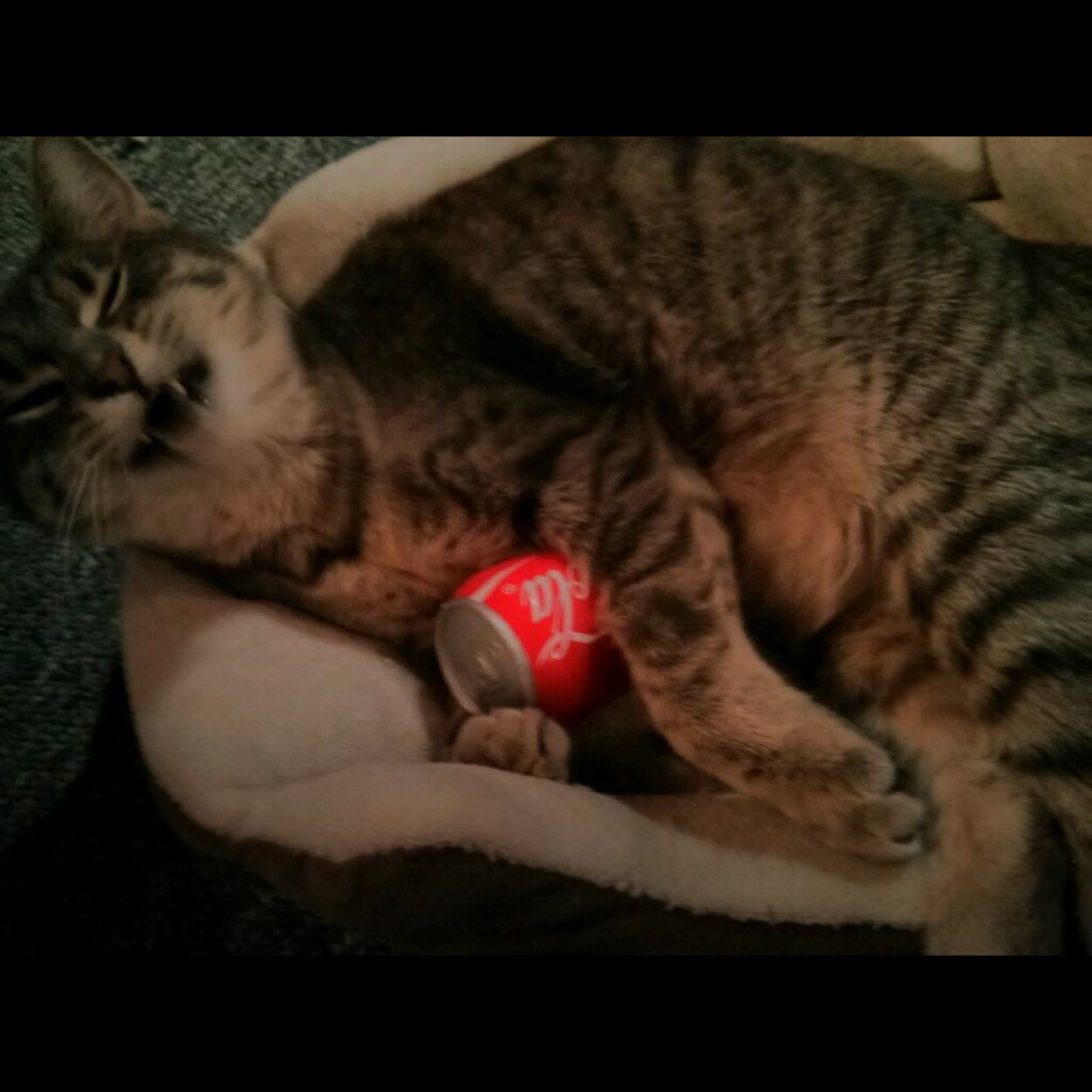 dwilsom10's profile picture. 