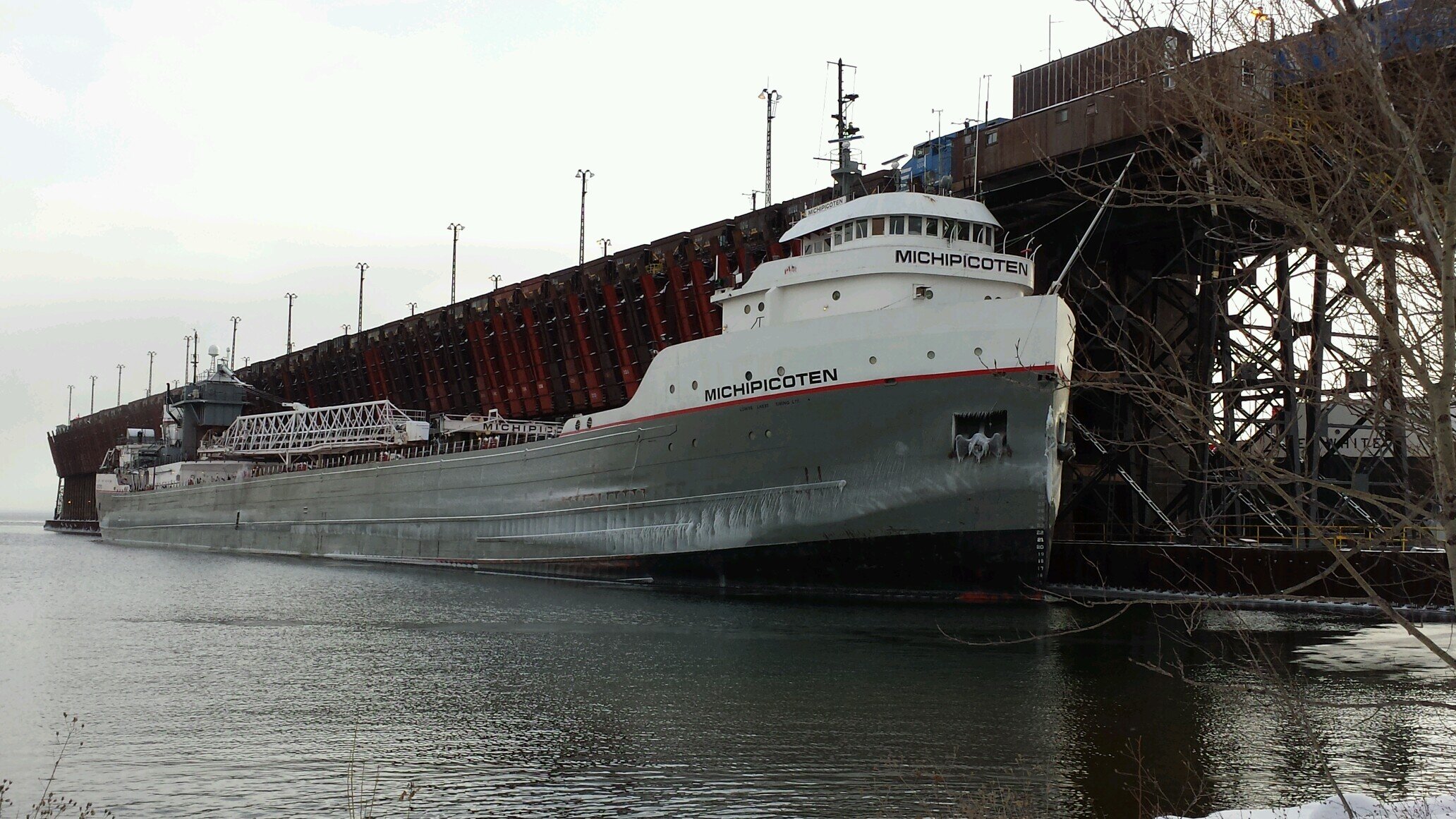 chocolayace's profile picture. 