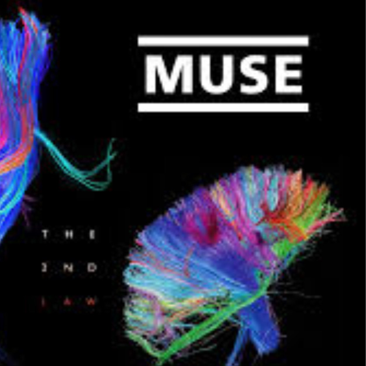 If you are a muse fan follow us ! This page is written by matt in Washington