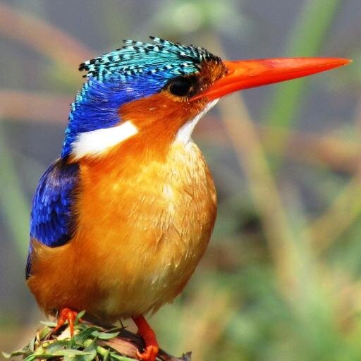 ugurkaragoz's profile picture. İnsan şaşırtır.