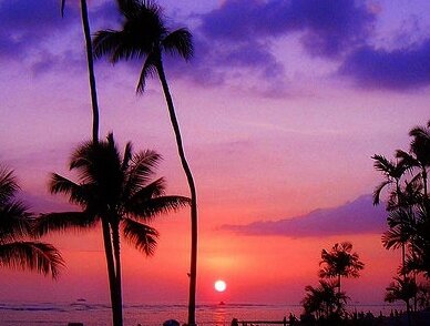 bsummersunset's profile picture. Blog de moda, maquillaje, peinados y todo lo que se me pase por la mente.