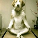 willy cano - @willycanogotera - Twitter