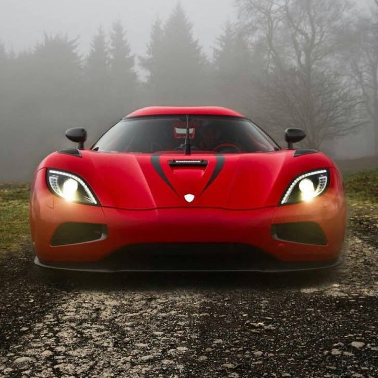 YaNesar123's profile picture. 