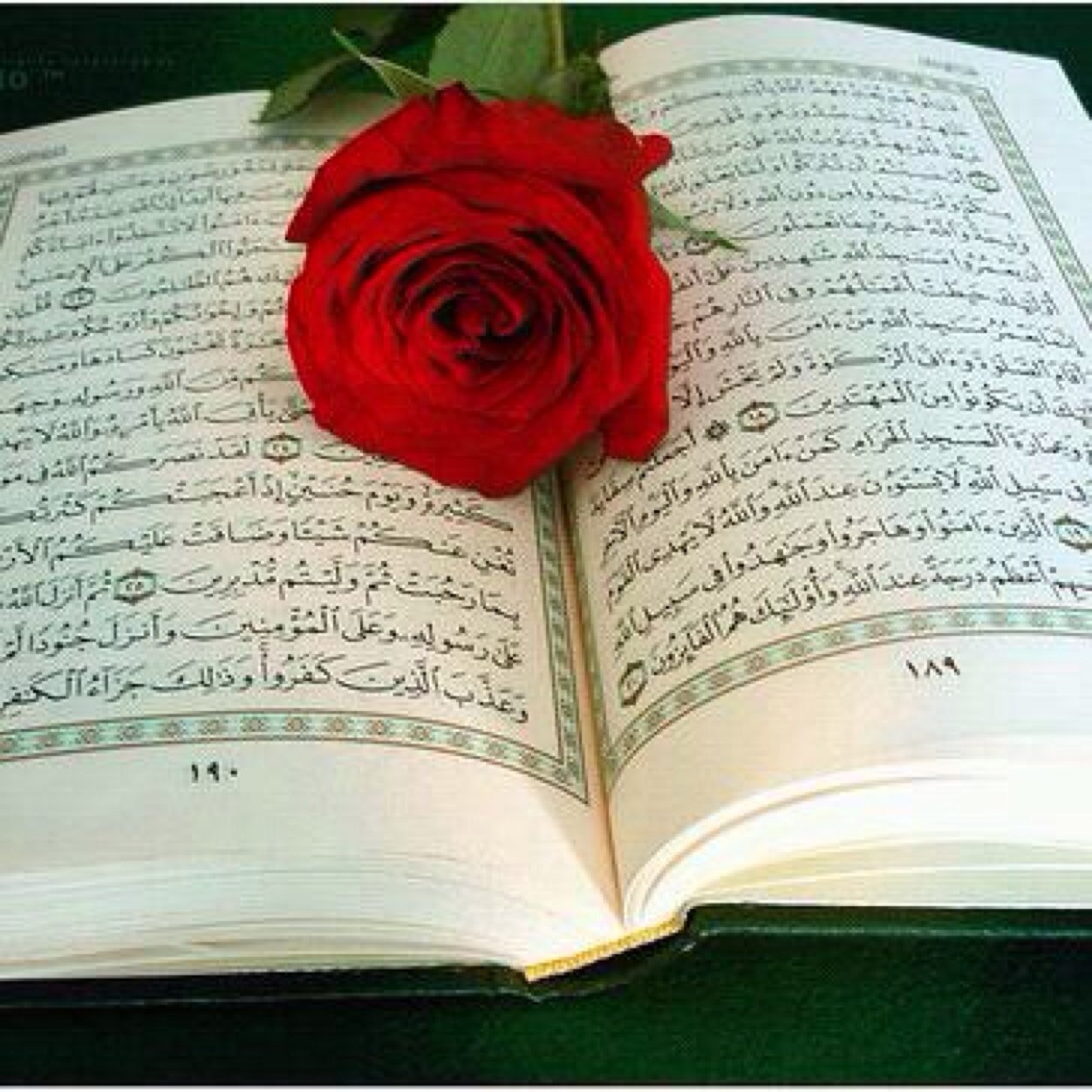 اللهم لاتحرمني حفظ كتابك وتدبره