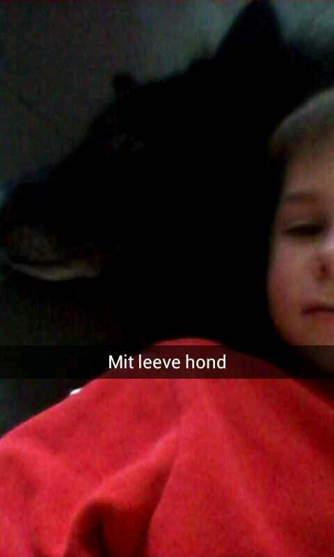 jarnomaussen's profile picture. 