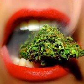 Field of Greens dispensary sets the industry standard for health and quality. We guarantee the most pure, effective cannabis by testing every strain!!