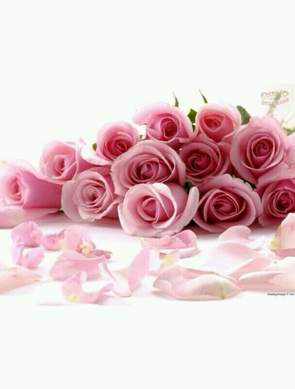 ‏‏‏اللهمَّ إنِّي أعُوذُ بِكَ مِنْ جَهْدِ الْبَلَاءِ، وَدَرَكِ الشَّقَاءِ، وَسُوءِ الْقَضَاءِ، وَشَمَاتَةِ الْأَعْدَاءِ))