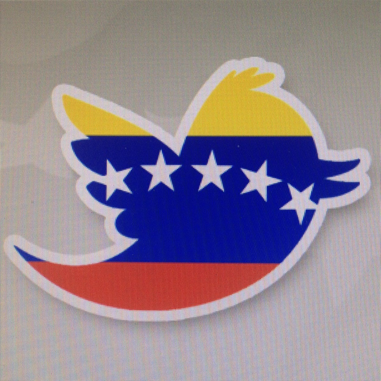 Médico cirujano UCV. Pediatra. Alergólogo-Inmunologo. Mamá de 2. 
Anti Izquierda, aún en Vzla