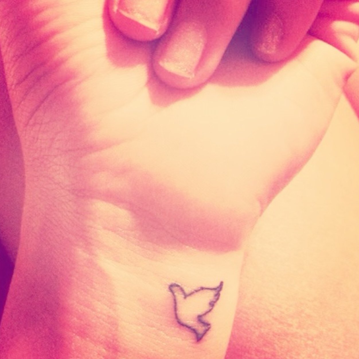 HonestRealGirl's profile picture. 