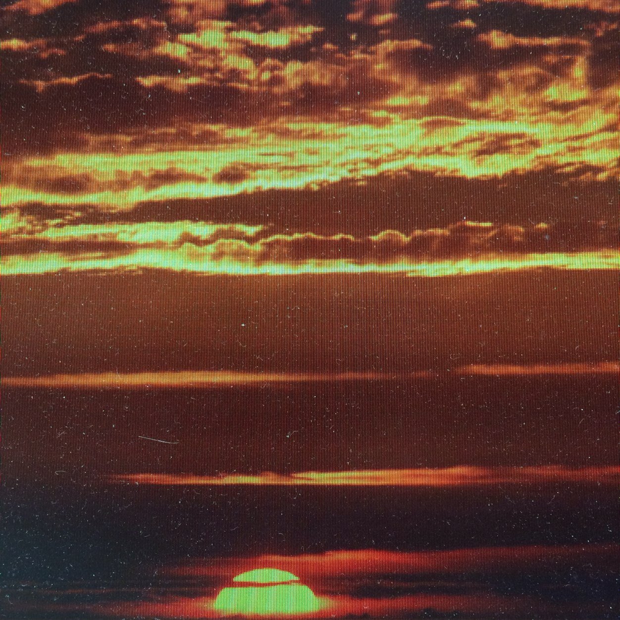 salslc's profile picture. 