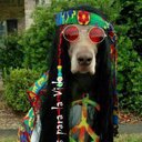 Vicente Marcano - @VincentBuddha - Twitter