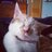 lailololailo15's profile image