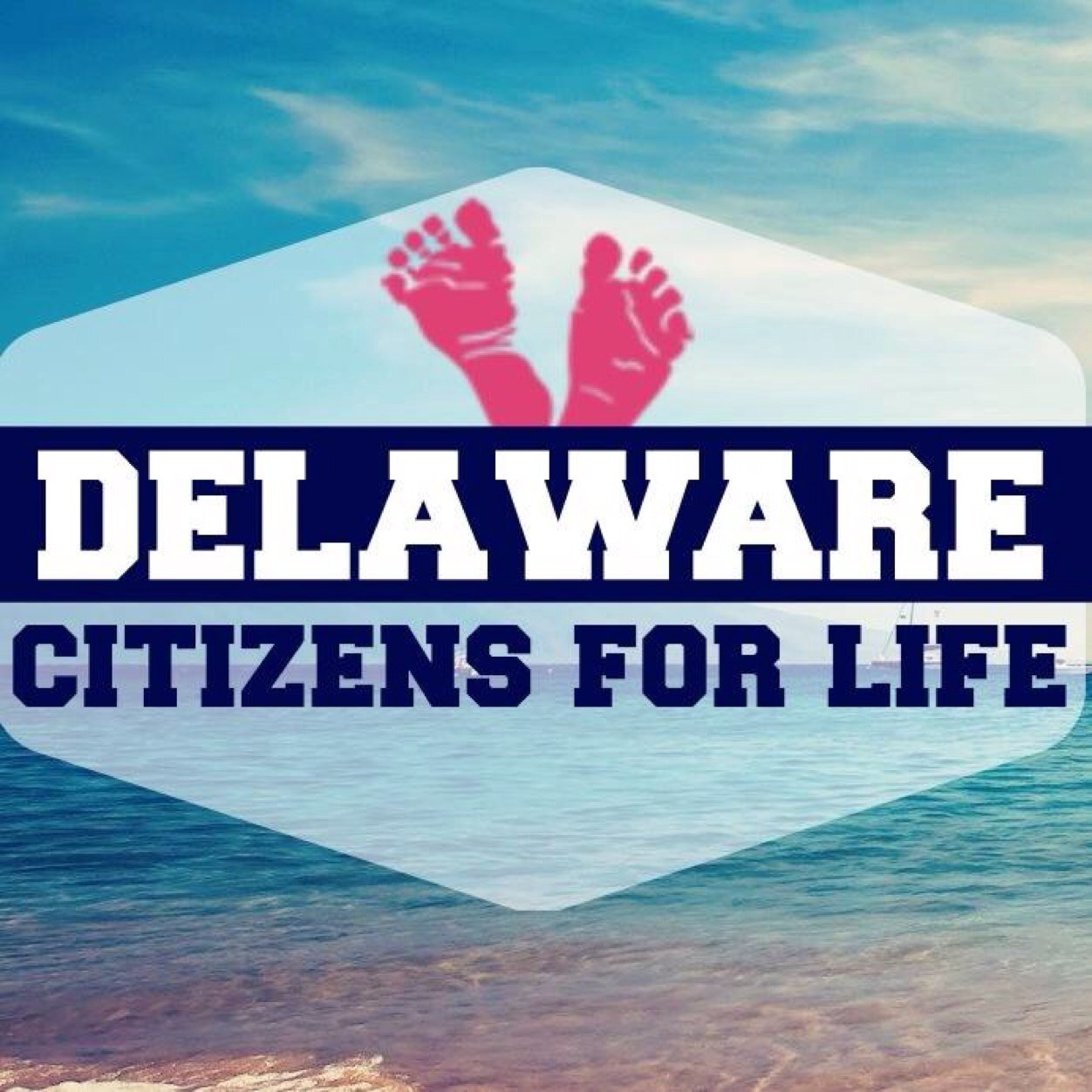 ProLifeDelaware's profile picture. Delaware Affiliate of @NRLC. Defending the first right in the First State. #prolife