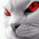 carlos daniel gomes (@11Cdgr) Twitter