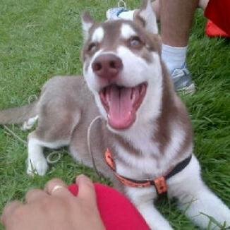 TheidaG's profile picture. 