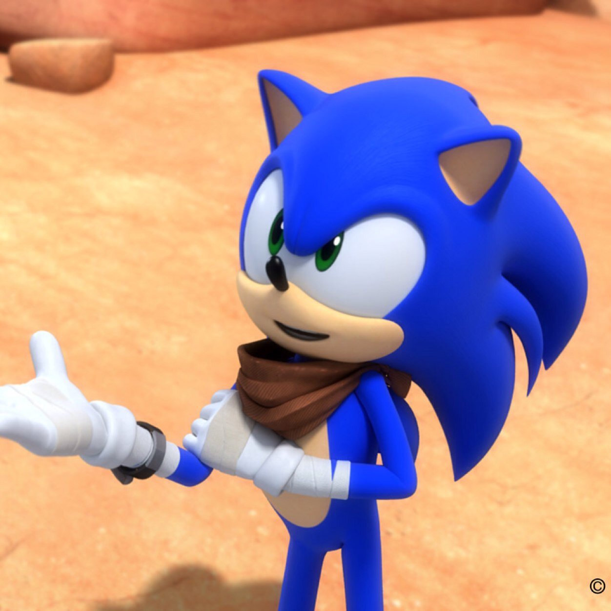 Sonic's the name speeds my game! Hey guys im Sonic the Hedgehog! Im super fast and I always stop Eggman from whatever plot he is doing. #RP