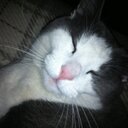 Nikolai007 (@0007sunt) Twitter
