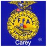 Carey_FFA's profile picture. 