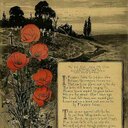 Sally Stacey - @sallyistacey - Twitter