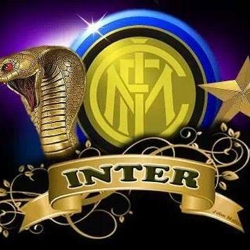 dritancako's profile picture. 