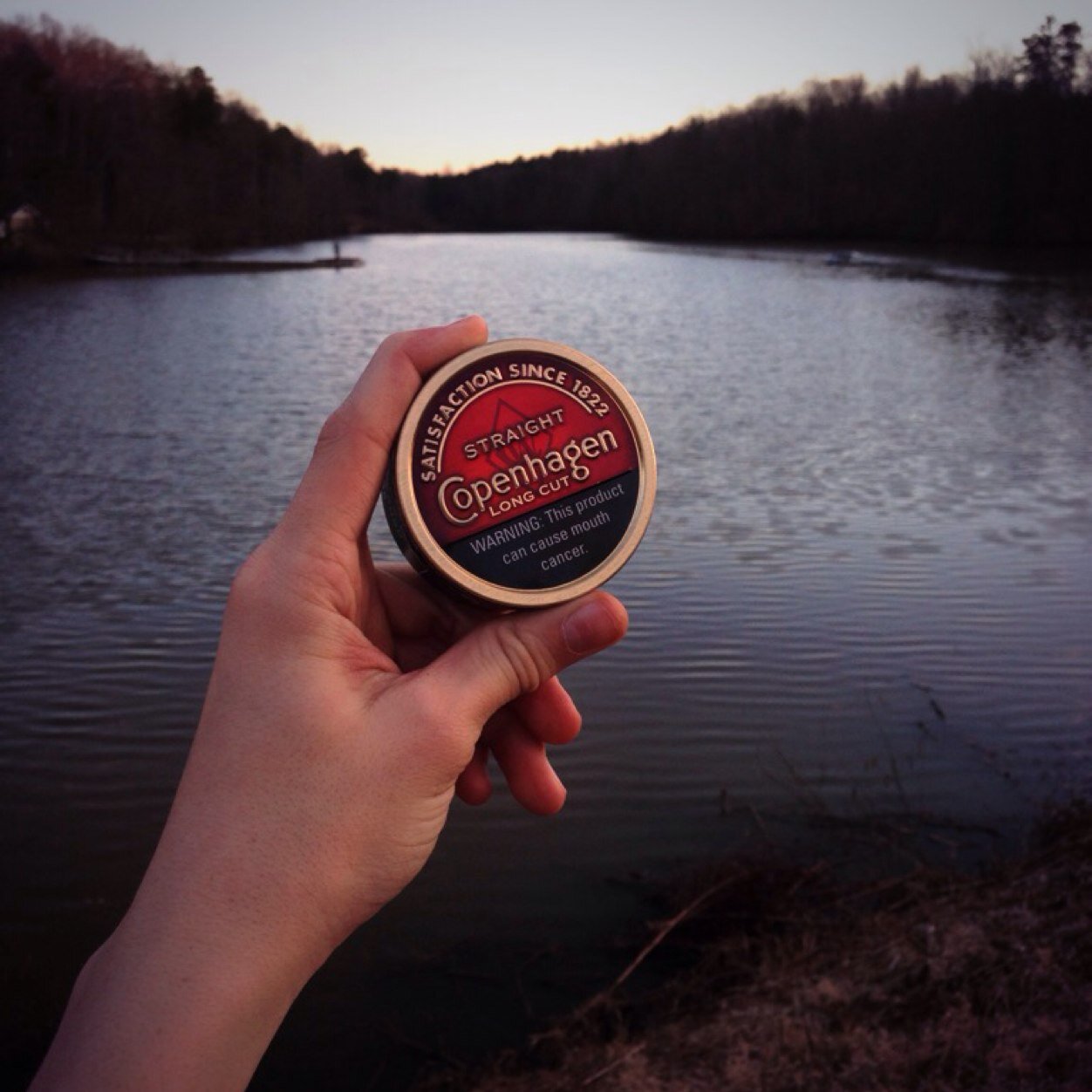 Dippers of America
Pack a lip