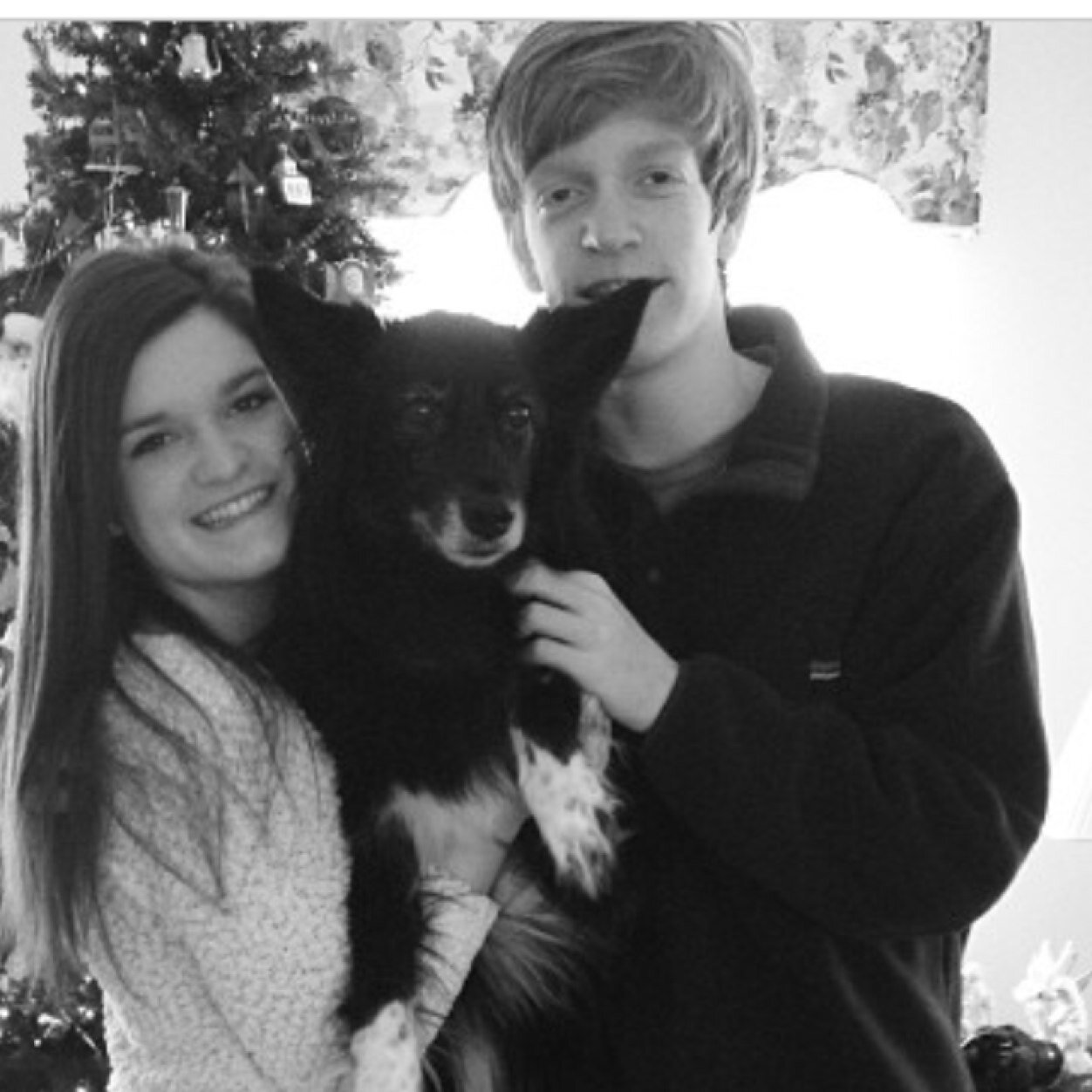 Bradtrexler1's profile picture. 