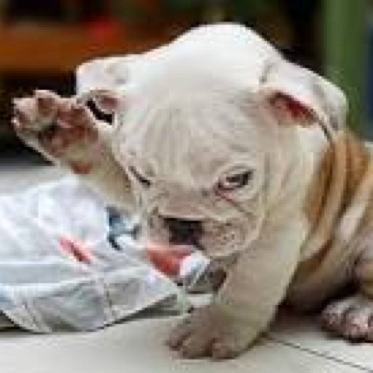 Confession14Chs's profile picture. http://t.co/BIYE2K5bmr