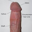 Jake Mallow - @RevisionedSD - Twitter