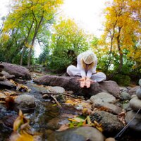 Yoga News TV (@yoganewstv) 's Twitter Profile