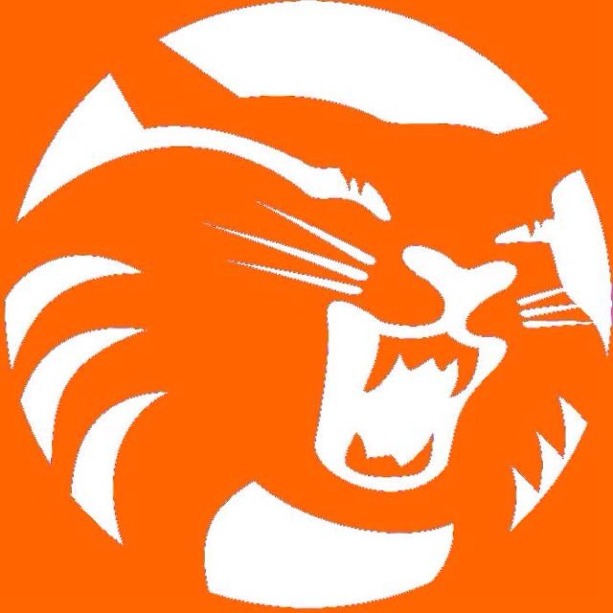 We are Chico State AdvoCats. We want a better tomorrow by divesting our campus' investments in the top 200 fossil fuel companies. Sign the petition!